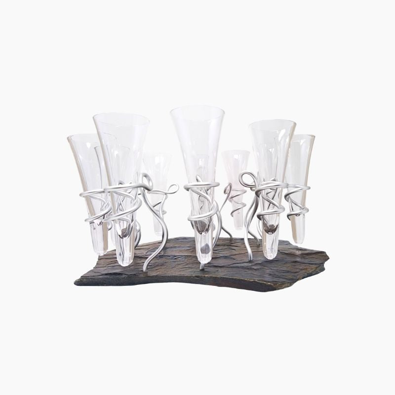 Plateau-de-10-Flutes-de-Champagne-Elixir-de-Bretagne-avec-bouteille