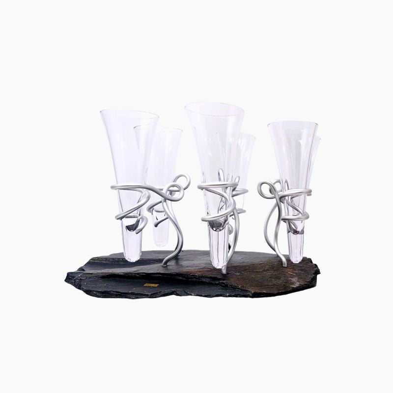 Plateau-de-6-Flutes-de-Champagne-Elixir-de-Bretagne-avec-bouteille