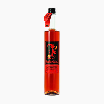 Chouchen Breton Hydromélix à la Fraise de Plougastel